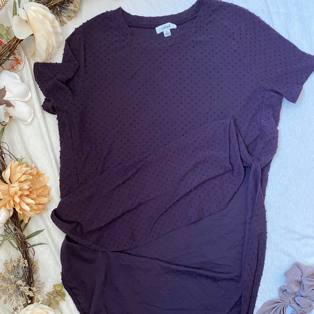 Aritzia Wilfred Split Hem T-Shirt